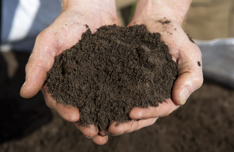 Premium-topsoil-handful_B015651-800x520